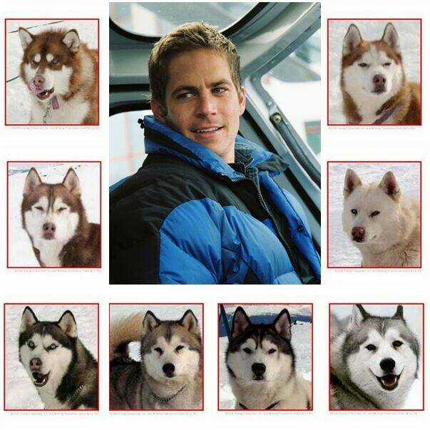 Bác Sĩ Thú Y - Chapter 5 - Trang 18