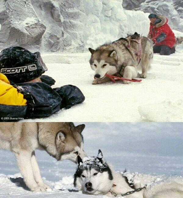 Bác Sĩ Thú Y - Chapter 5 - Trang 19