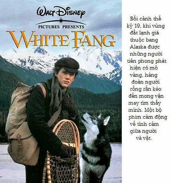 Bác Sĩ Thú Y - Chapter 5 - Trang 20