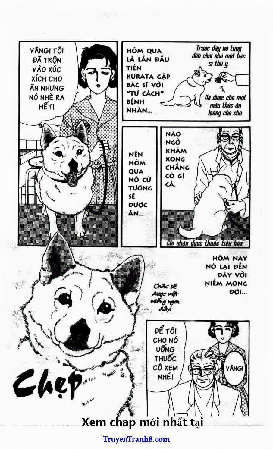 Bác Sĩ Thú Y - Chapter 52 - Trang 16