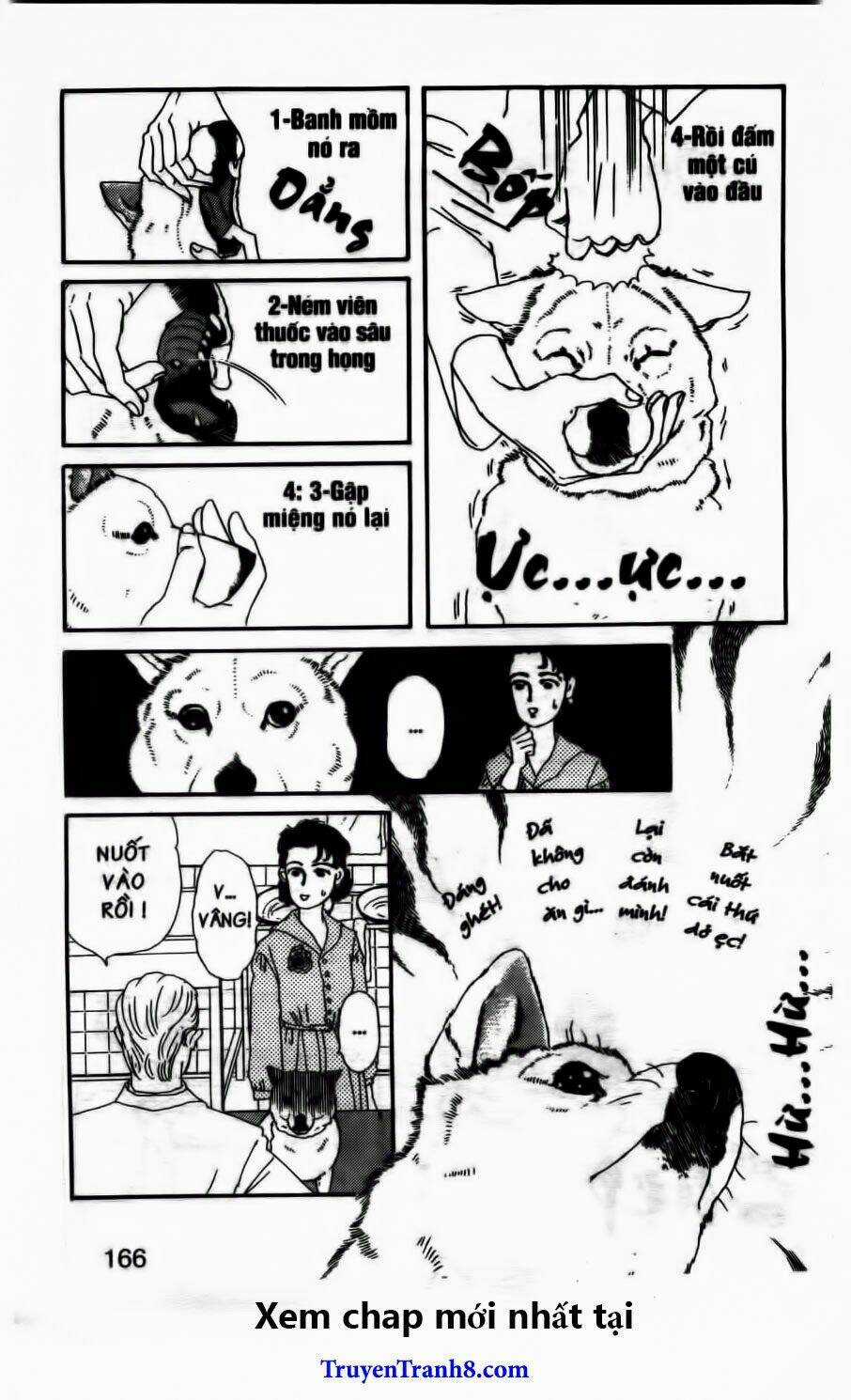 Bác Sĩ Thú Y - Chapter 52 - Trang 17