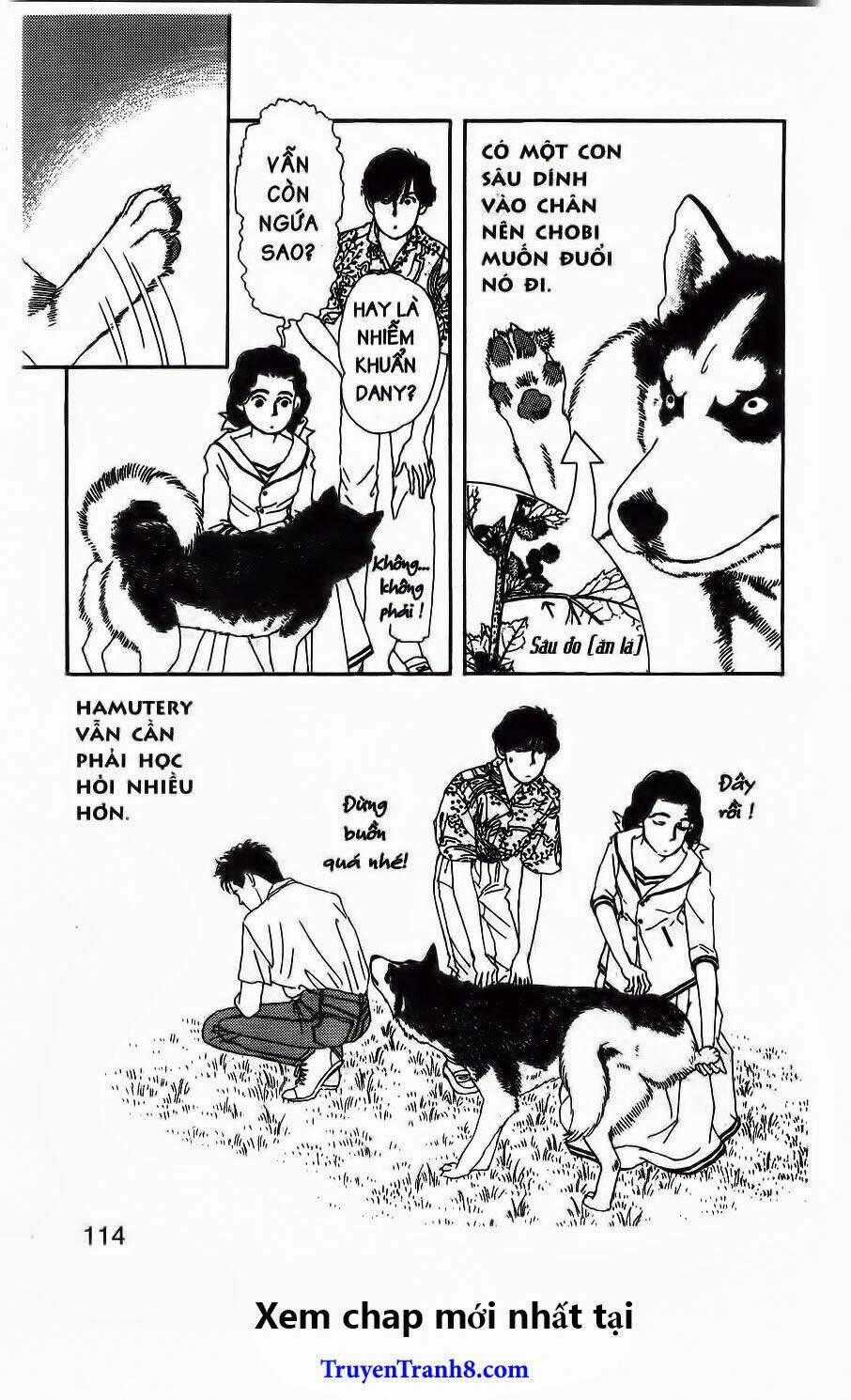 Bác Sĩ Thú Y - Chapter 58 - Trang 21