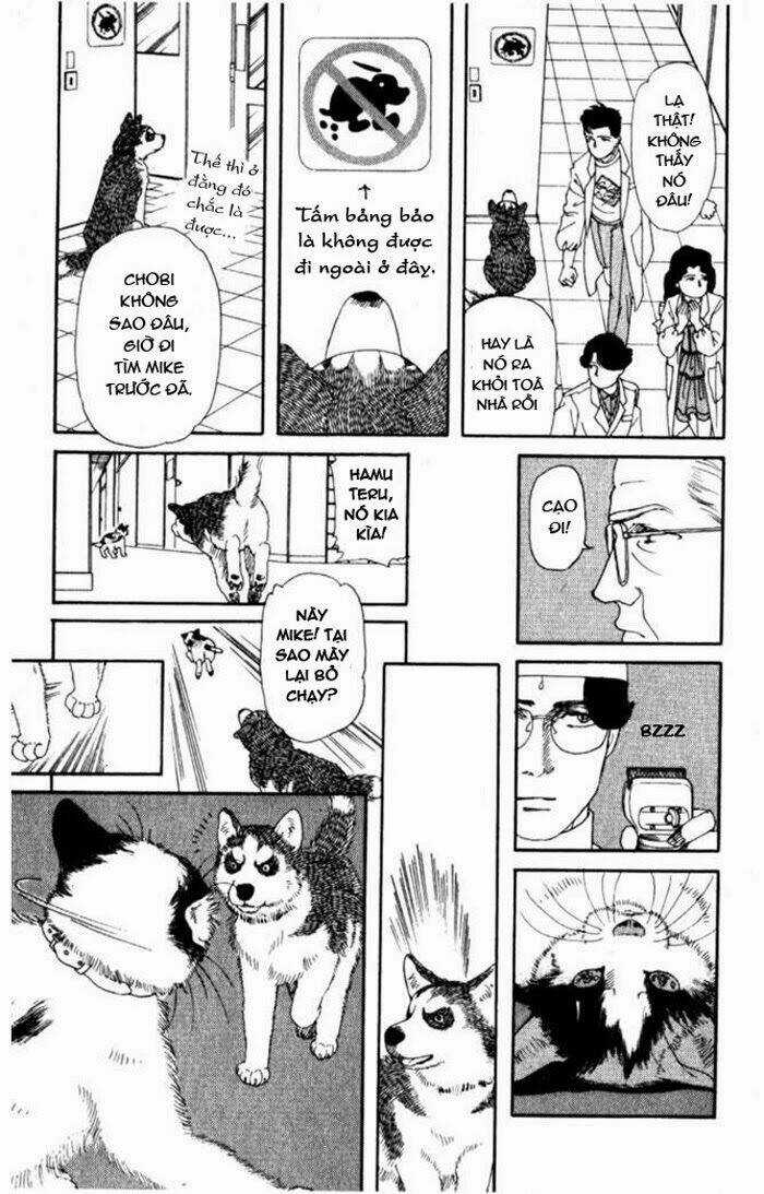 Bác Sĩ Thú Y - Chapter 6 - Trang 13