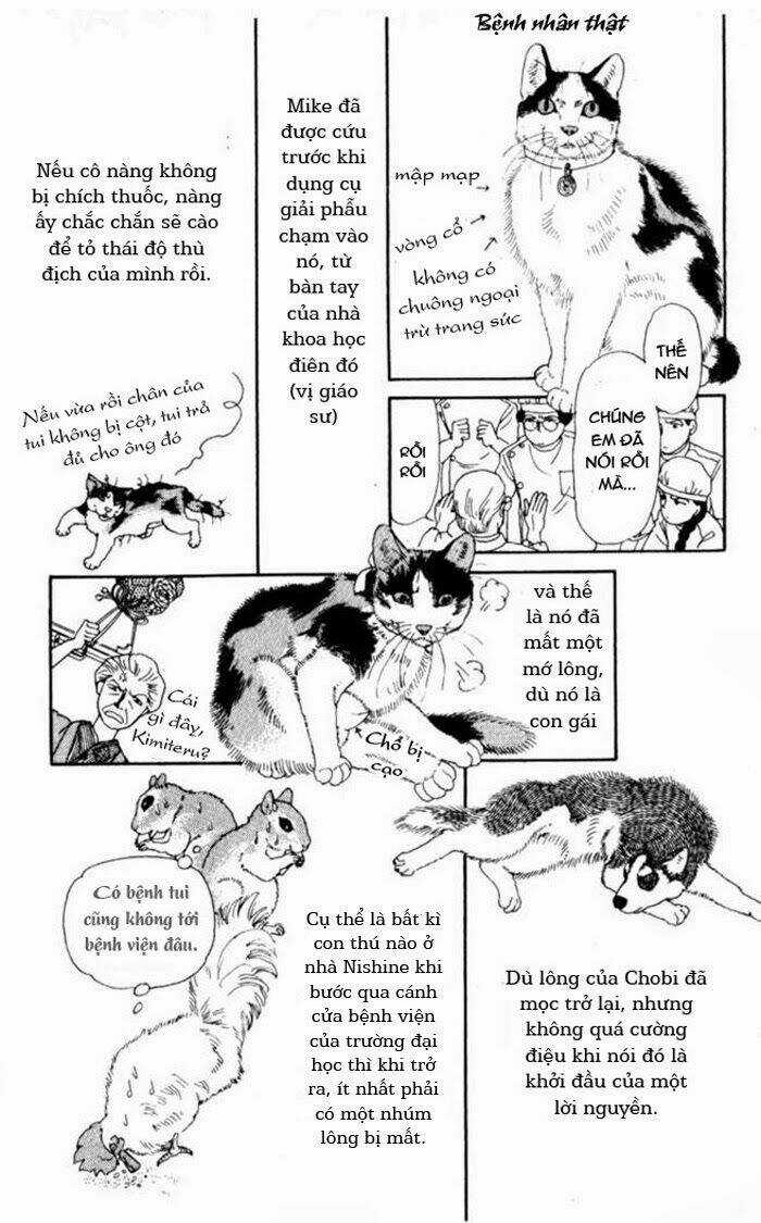 Bác Sĩ Thú Y - Chapter 6 - Trang 16