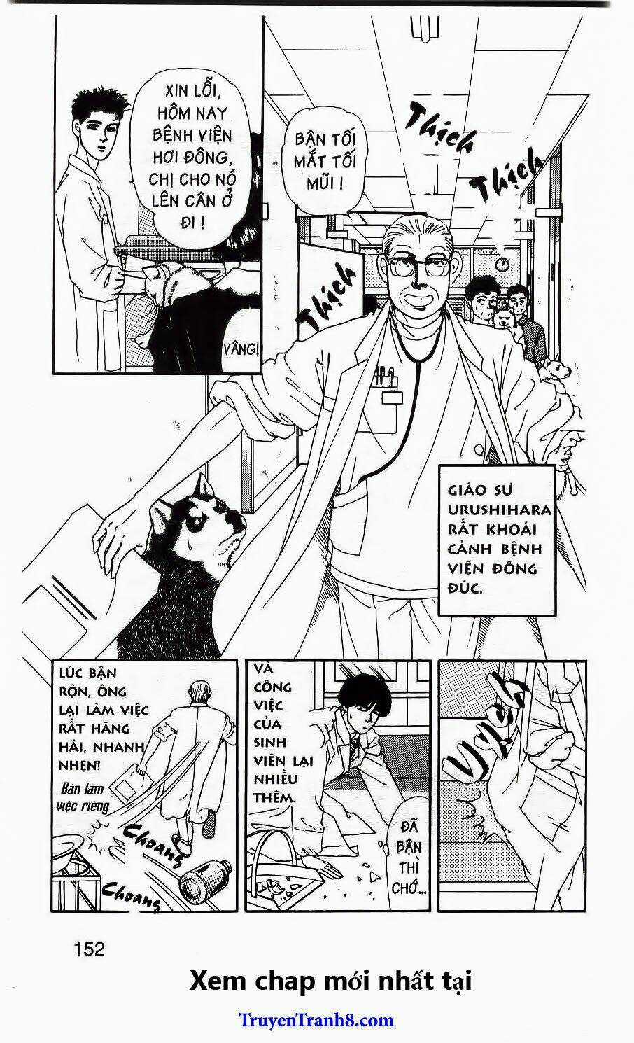 Bác Sĩ Thú Y - Chapter 61 - Trang 5