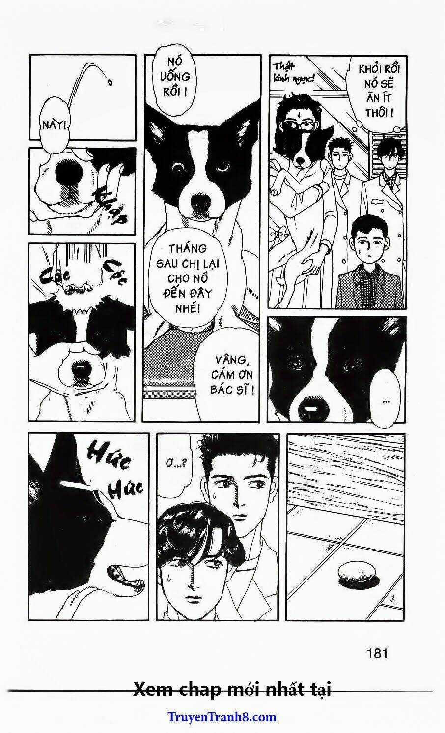 Bác Sĩ Thú Y - Chapter 62 - Trang 16