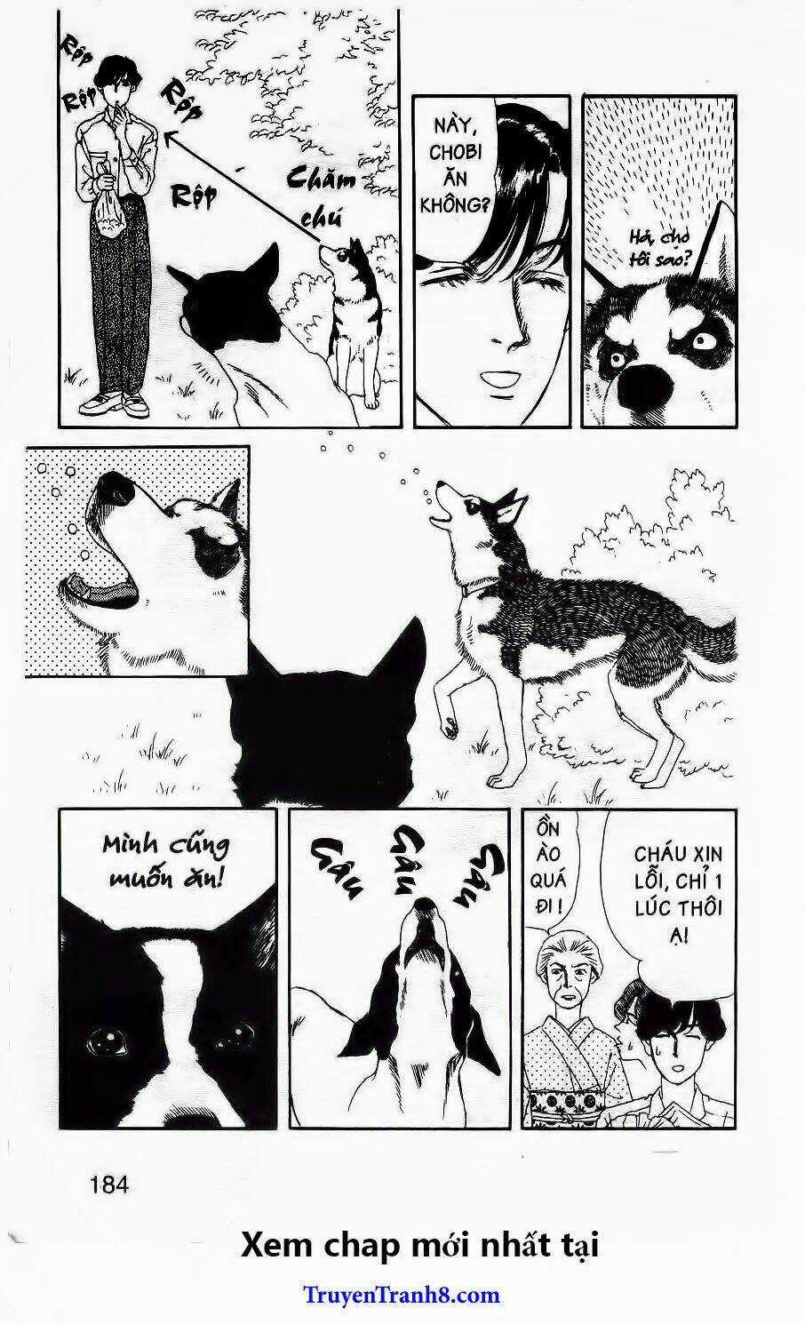 Bác Sĩ Thú Y - Chapter 62 - Trang 19