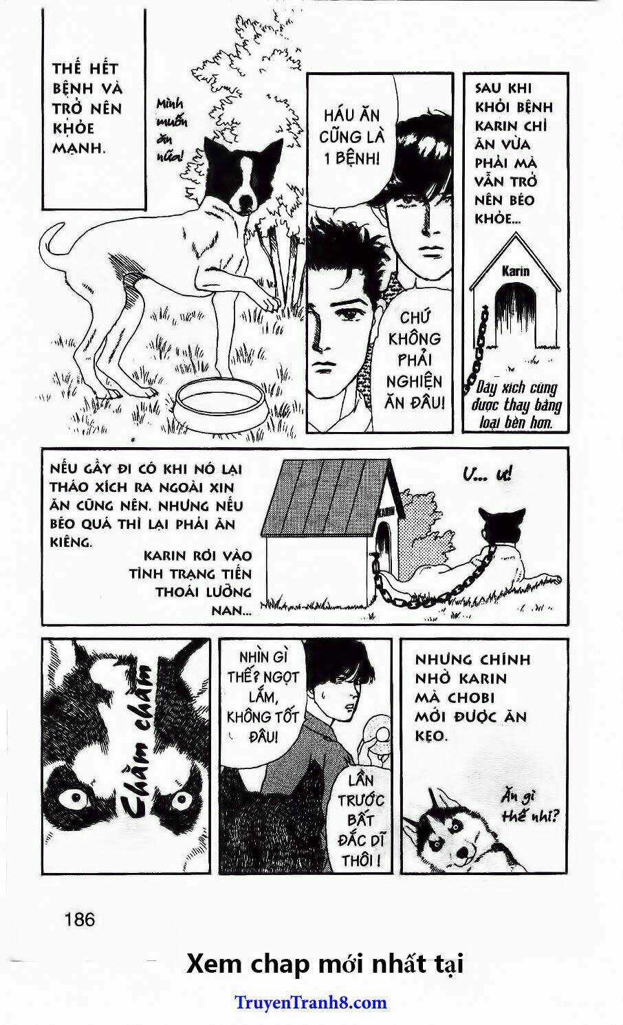 Bác Sĩ Thú Y - Chapter 62 - Trang 21