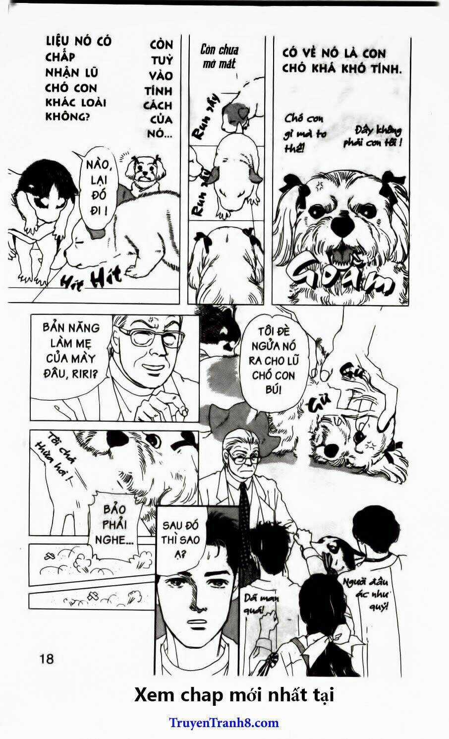 Bác Sĩ Thú Y - Chapter 72 - Trang 13