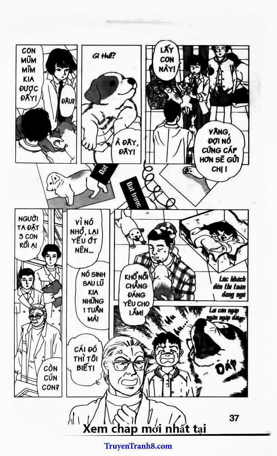 Bác Sĩ Thú Y - Chapter 73 - Trang 12