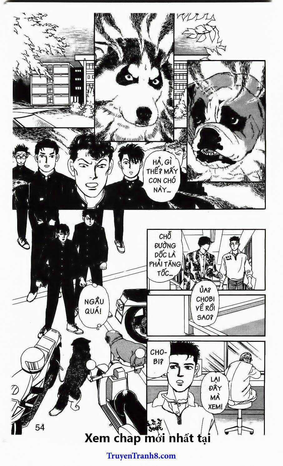 Bác Sĩ Thú Y - Chapter 74 - Trang 11