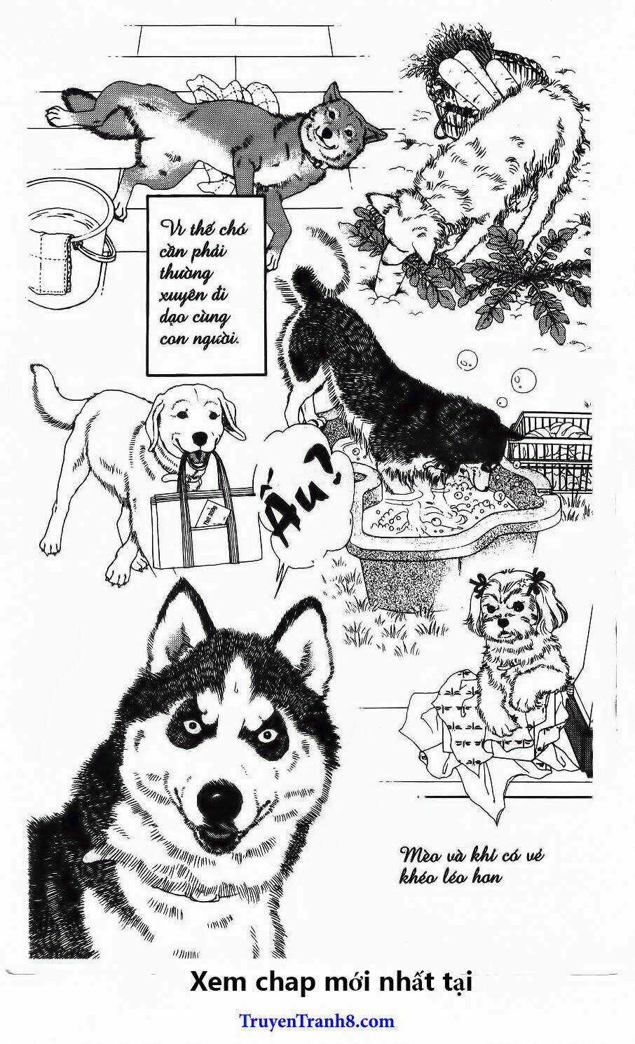 Bác Sĩ Thú Y - Chapter 80 - Trang 26