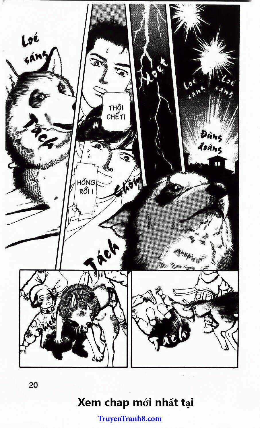 Bác Sĩ Thú Y - Chapter 81 - Trang 16