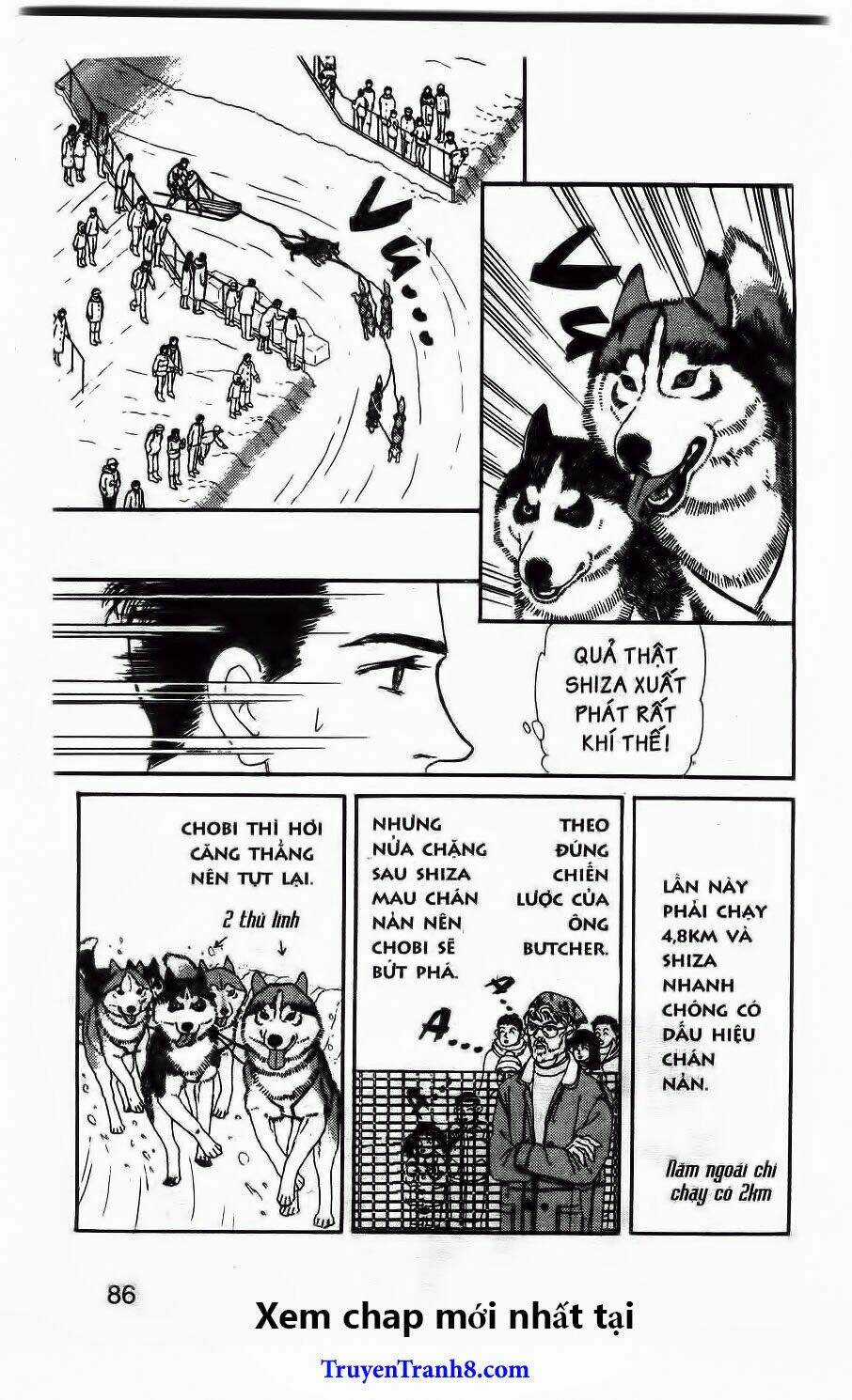 Bác Sĩ Thú Y - Chapter 85 - Trang 11