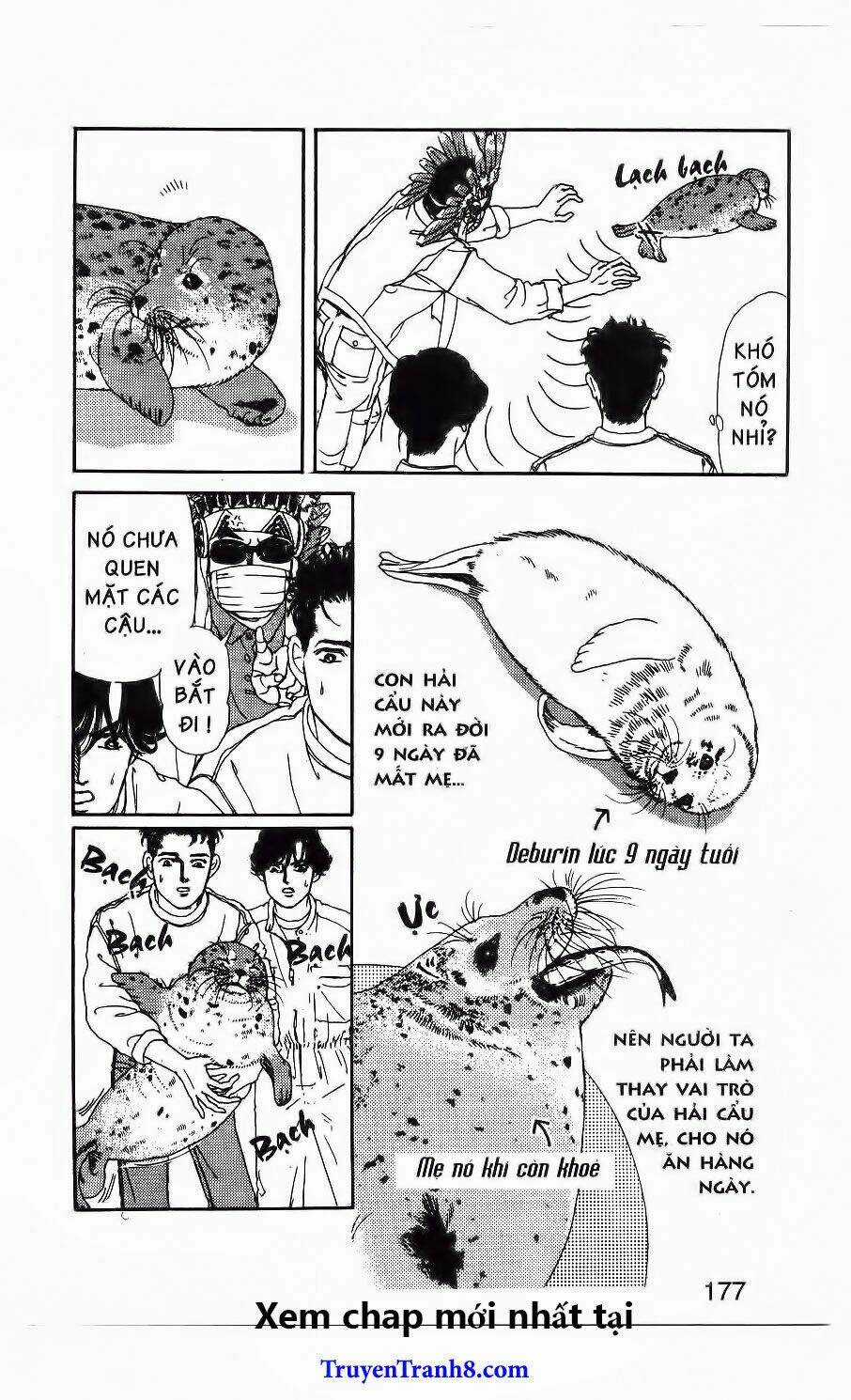 Bác Sĩ Thú Y - Chapter 90 - Trang 9