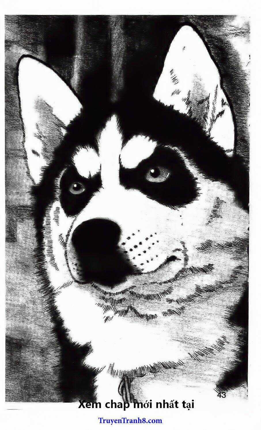 Bác Sĩ Thú Y - Chapter 93 - Trang 4