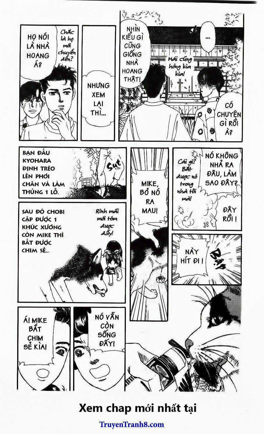 Bác Sĩ Thú Y - Chapter 96 - Trang 17