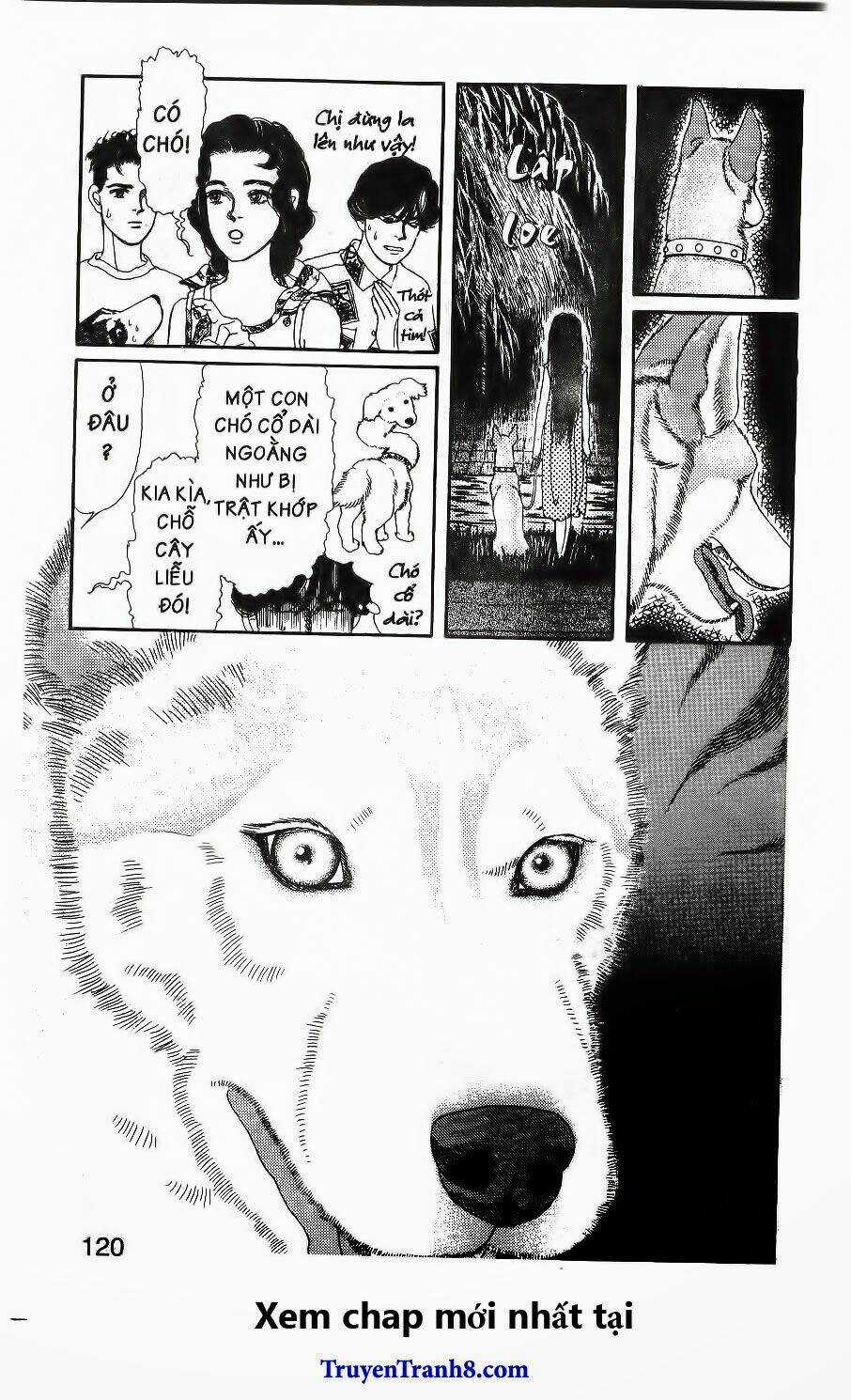 Bác Sĩ Thú Y - Chapter 97 - Trang 7