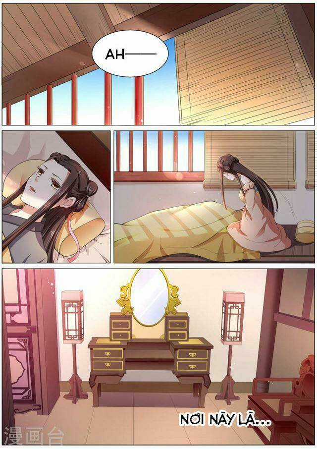 Bạch Chỉ Y Tiên - Chapter 1 - Trang 6