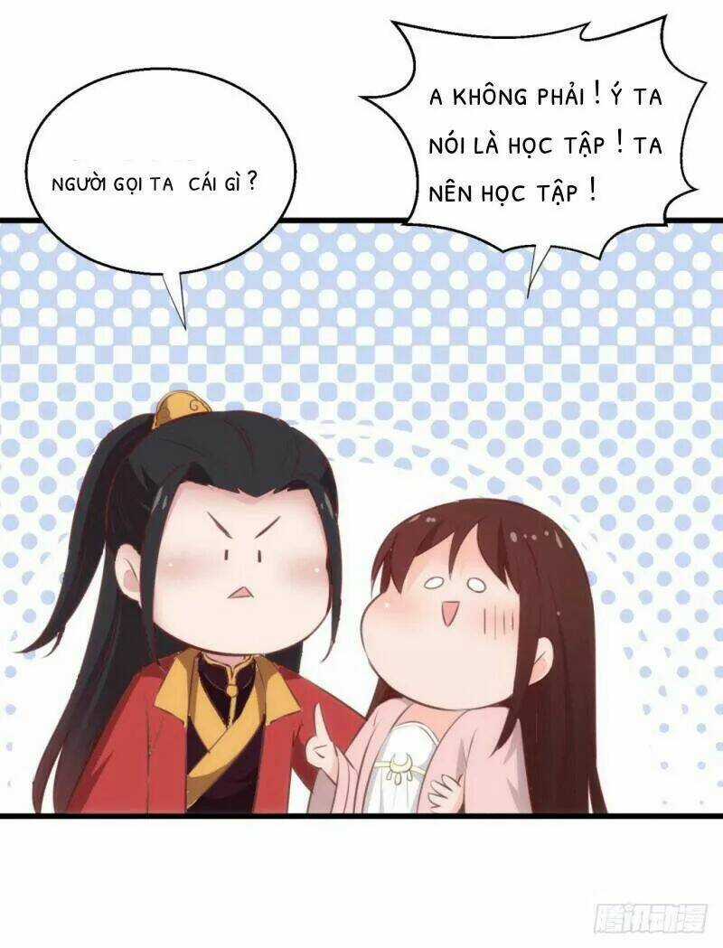 Bẩm Báo Công Chúa ! - Chapter 28 - Trang 17