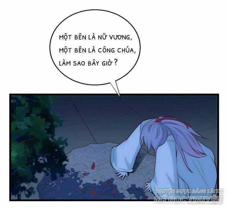 Bẩm Báo Công Chúa ! - Chapter 29 - Trang 6