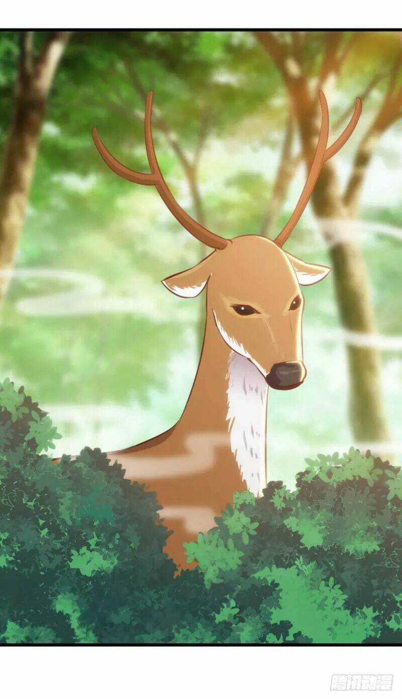 Bẩm Báo Công Chúa ! - Chapter 39 - Trang 33