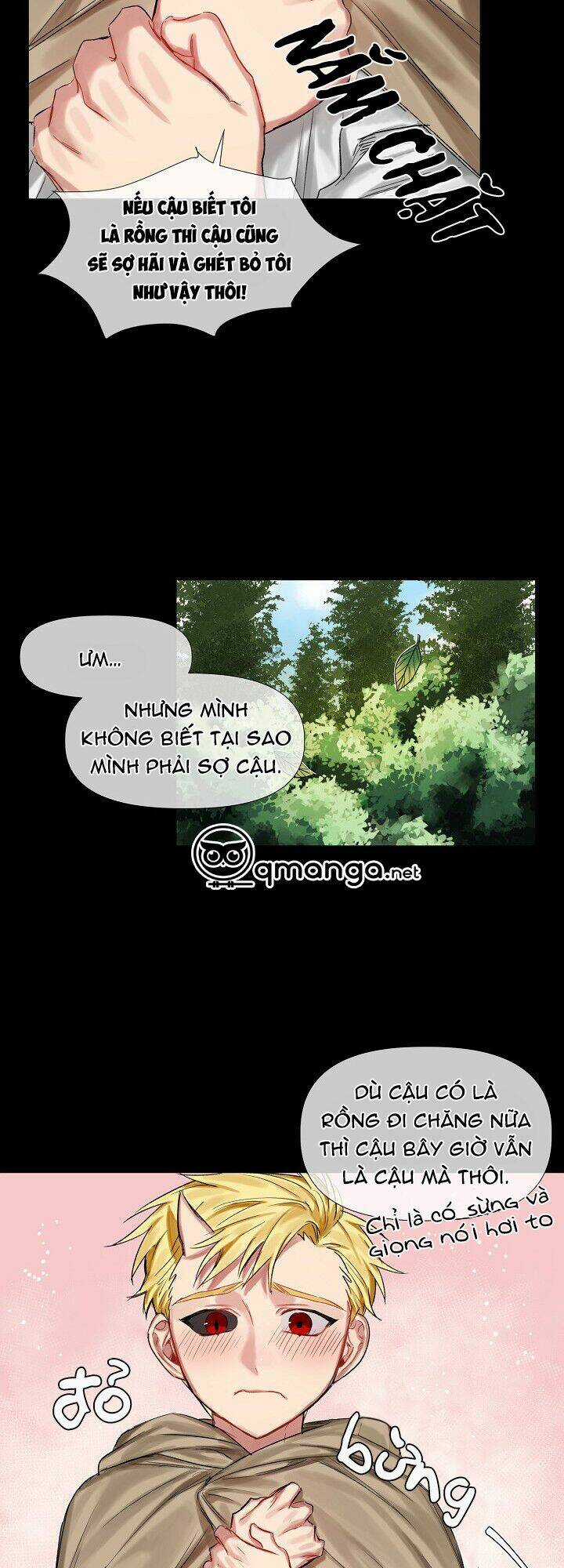 Bán Long Kỵ Sĩ - Chapter 7 - Trang 13