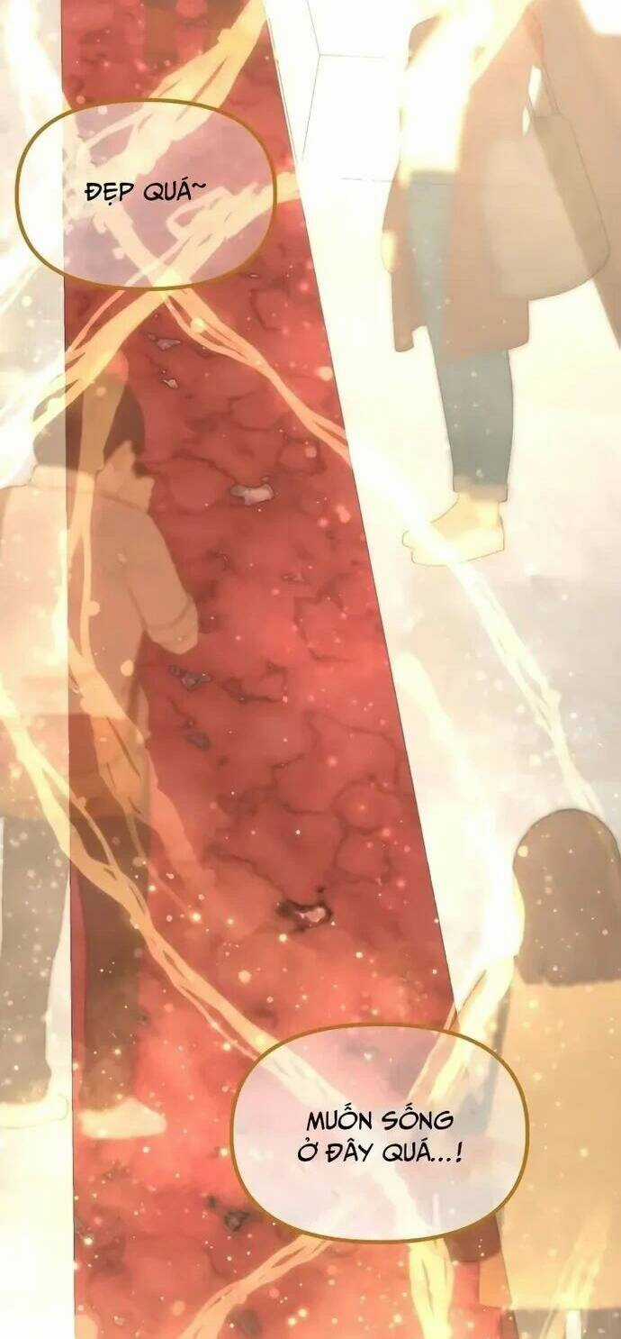 Bản Thiết Kế Vàng - Chapter 24 - Trang 14