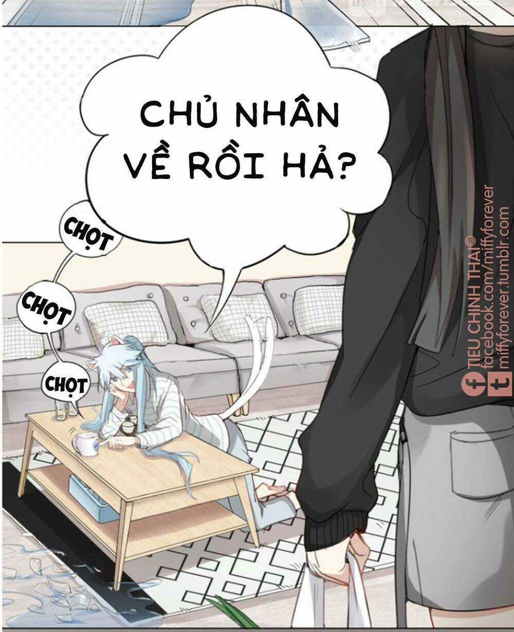 Bạn trai mèo - Chapter 0.5 - Trang 5