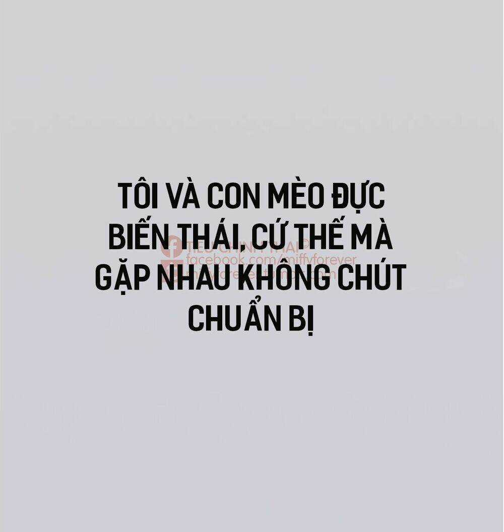 Bạn trai mèo - Chapter 0 - Trang 9