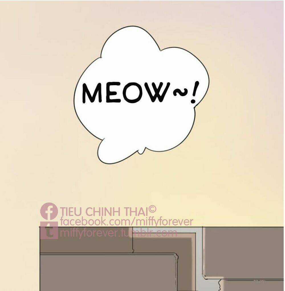 Bạn trai mèo - Chapter 1 - Trang 41