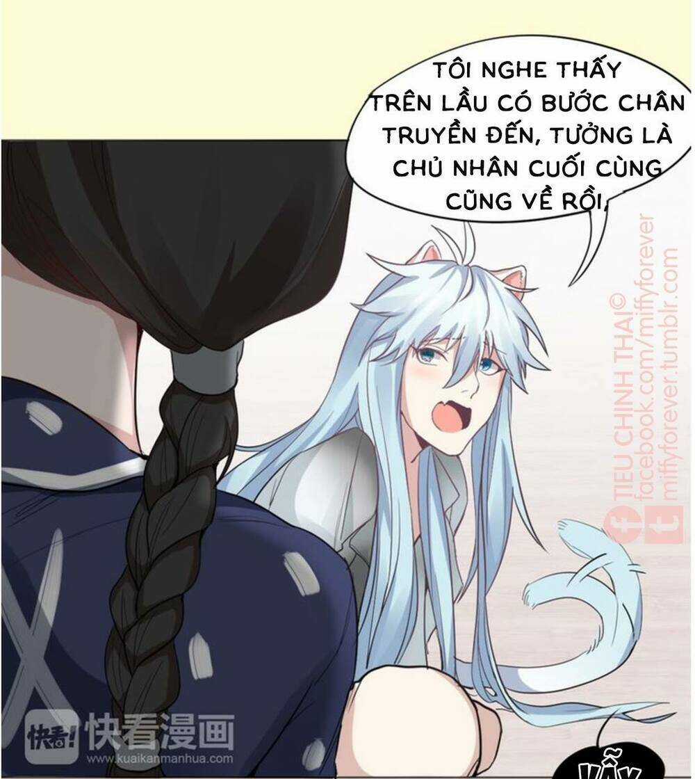 Bạn trai mèo - Chapter 2 - Trang 14