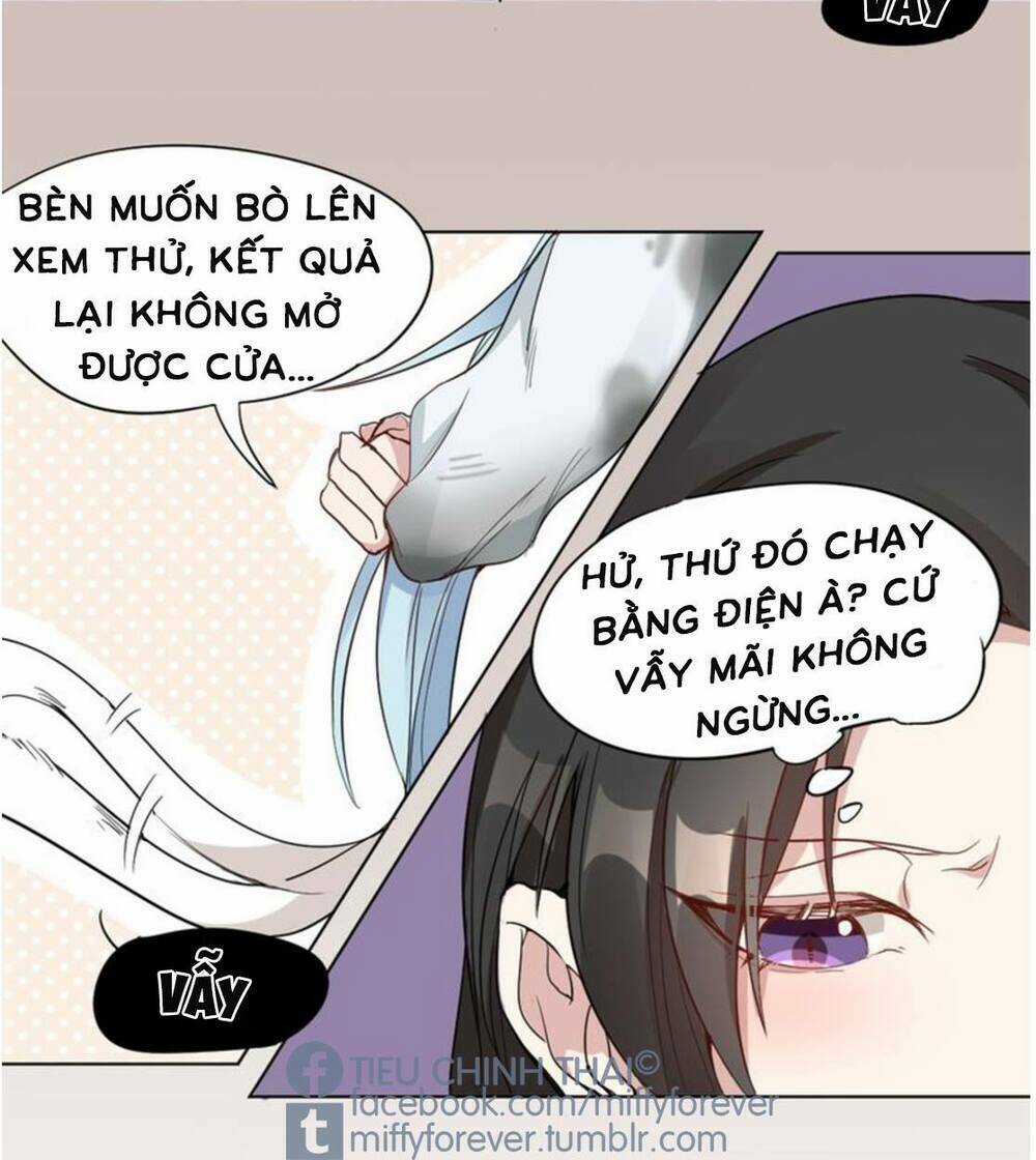 Bạn trai mèo - Chapter 2 - Trang 15