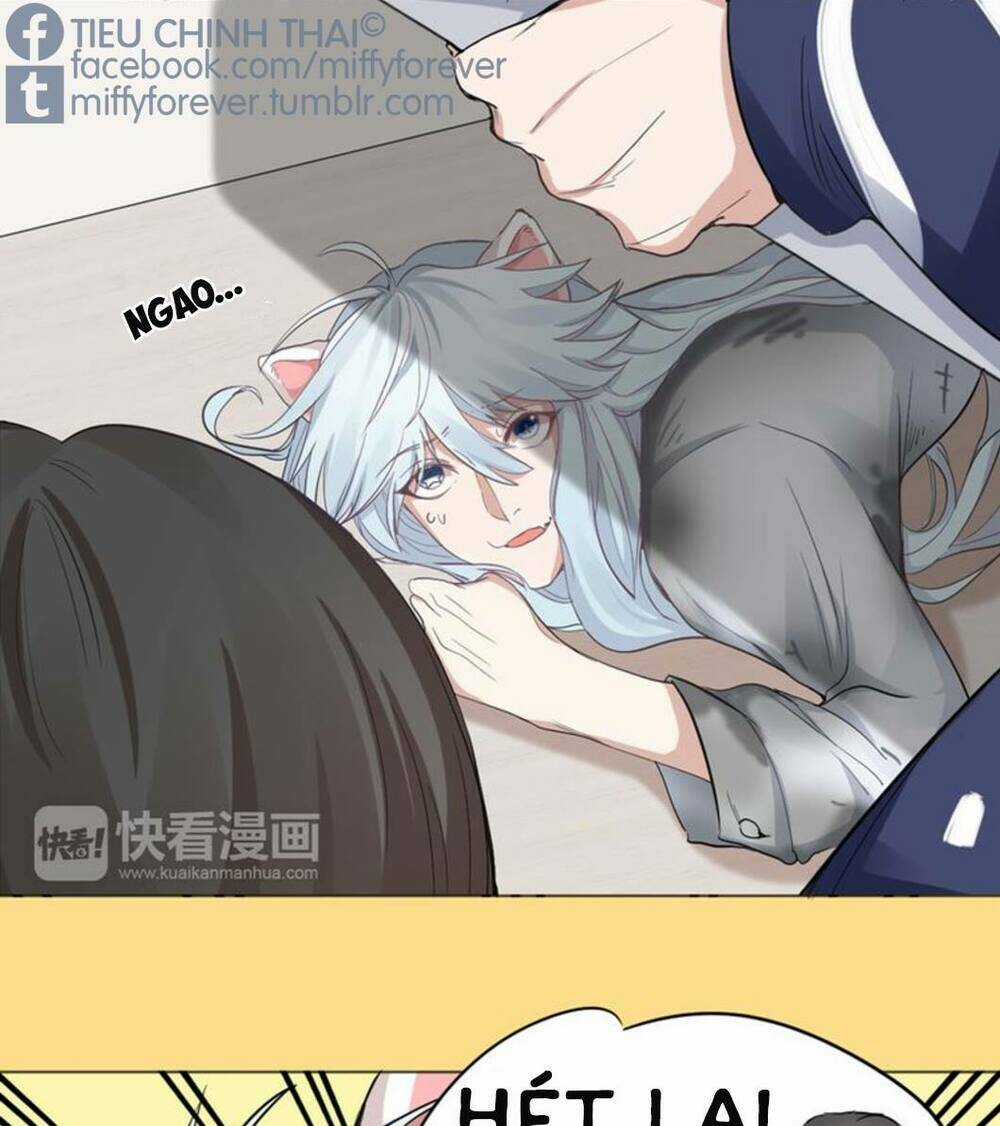 Bạn trai mèo - Chapter 2 - Trang 9