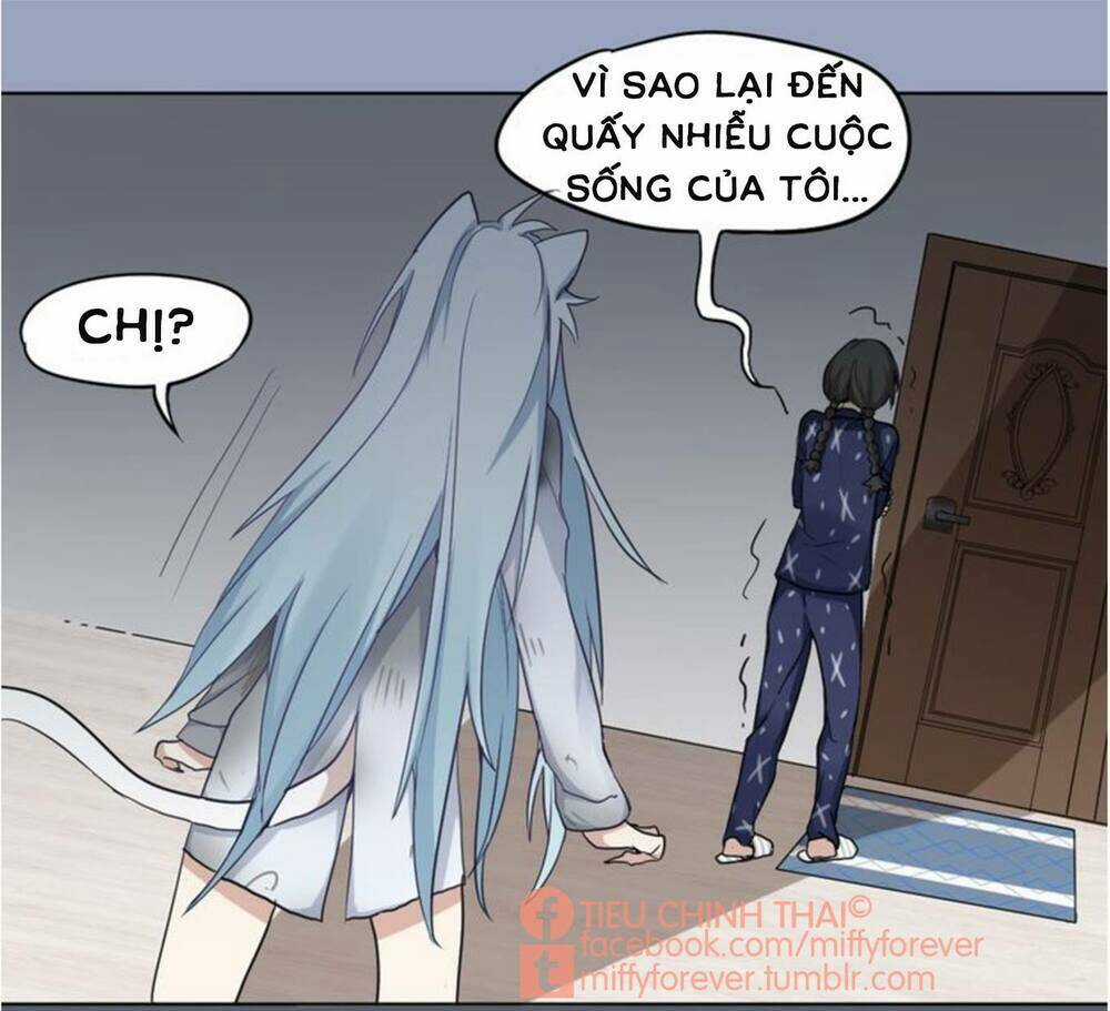 Bạn trai mèo - Chapter 3 - Trang 25