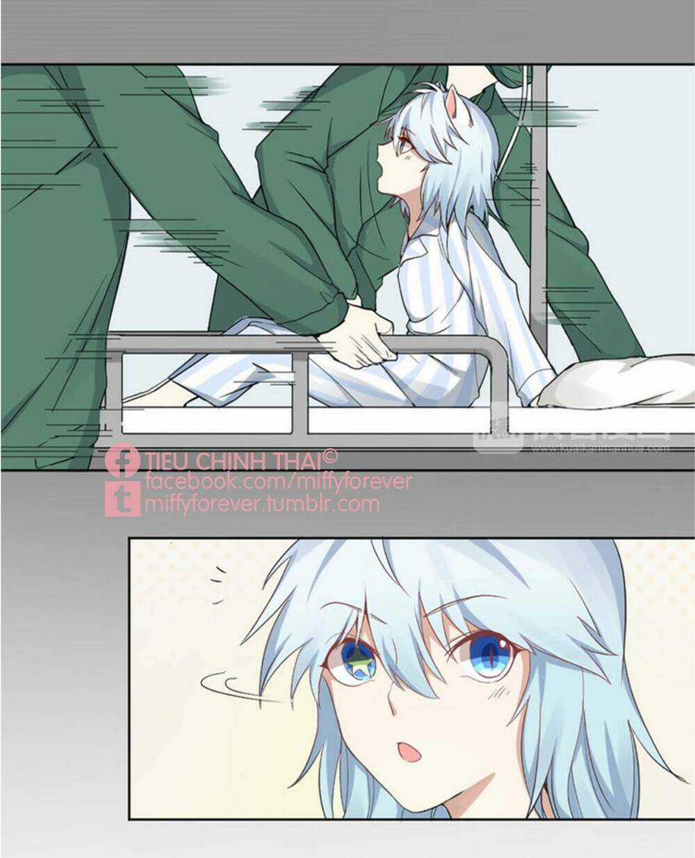 Bạn trai mèo - Chapter 4 - Trang 16