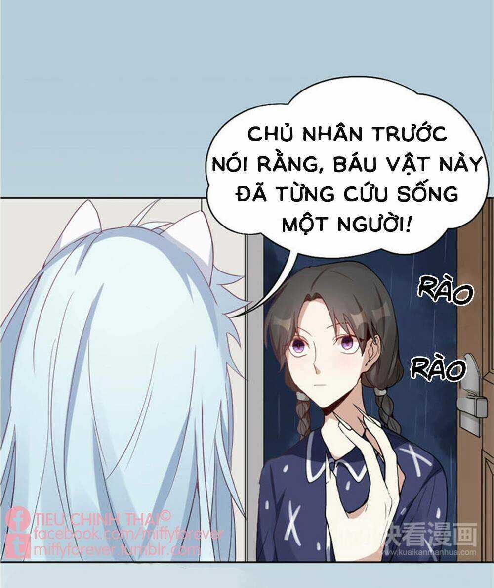 Bạn trai mèo - Chapter 4 - Trang 20