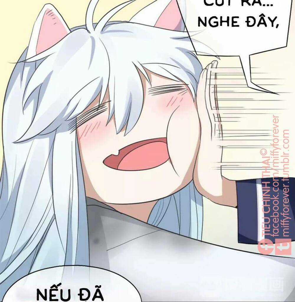 Bạn trai mèo - Chapter 5 - Trang 33