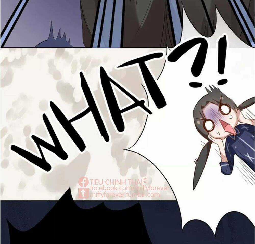 Bạn trai mèo - Chapter 6 - Trang 29