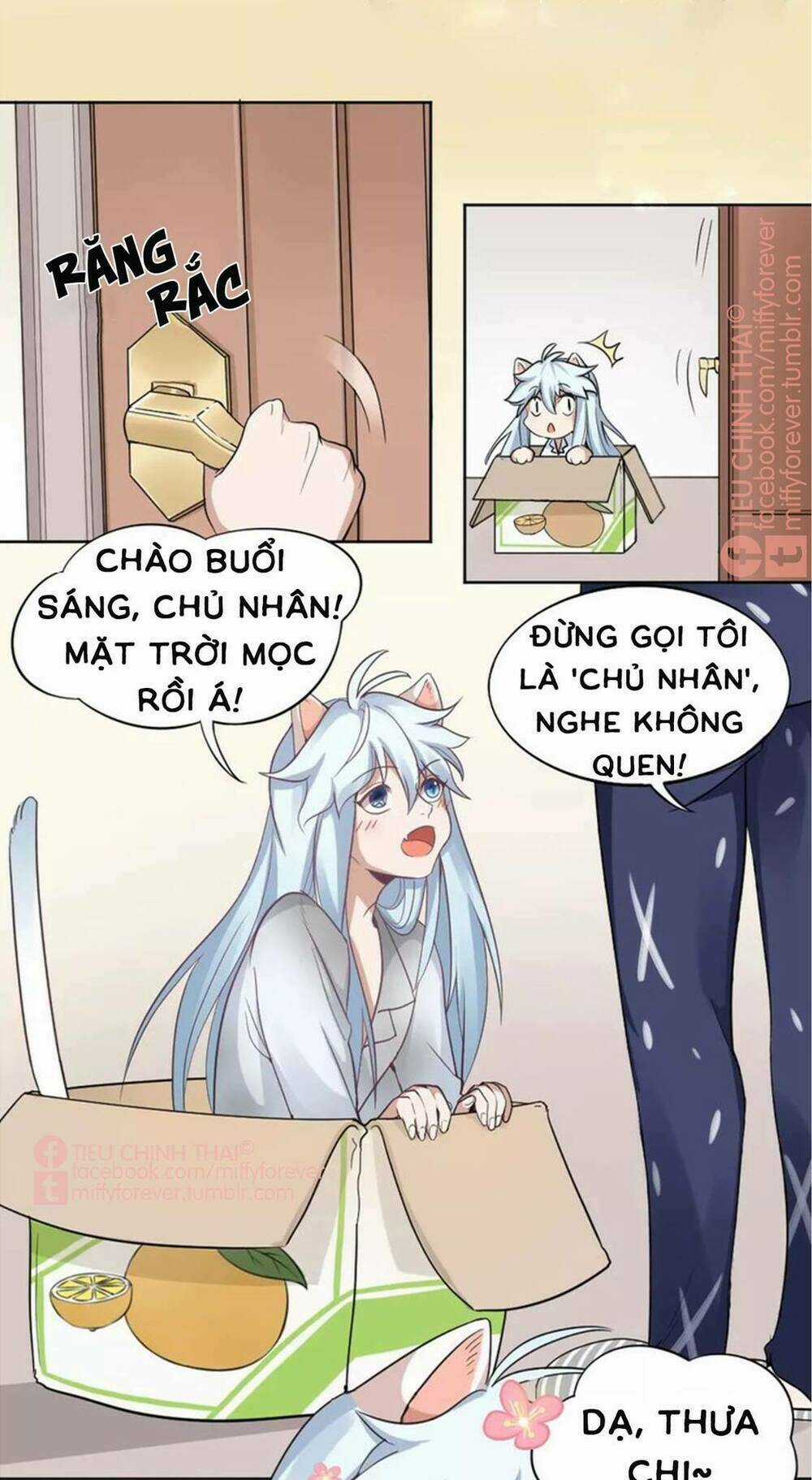 Bạn trai mèo - Chapter 6 - Trang 4