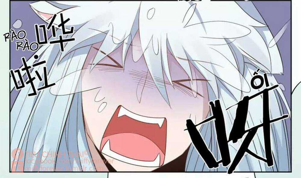 Bạn trai mèo - Chapter 7 - Trang 14