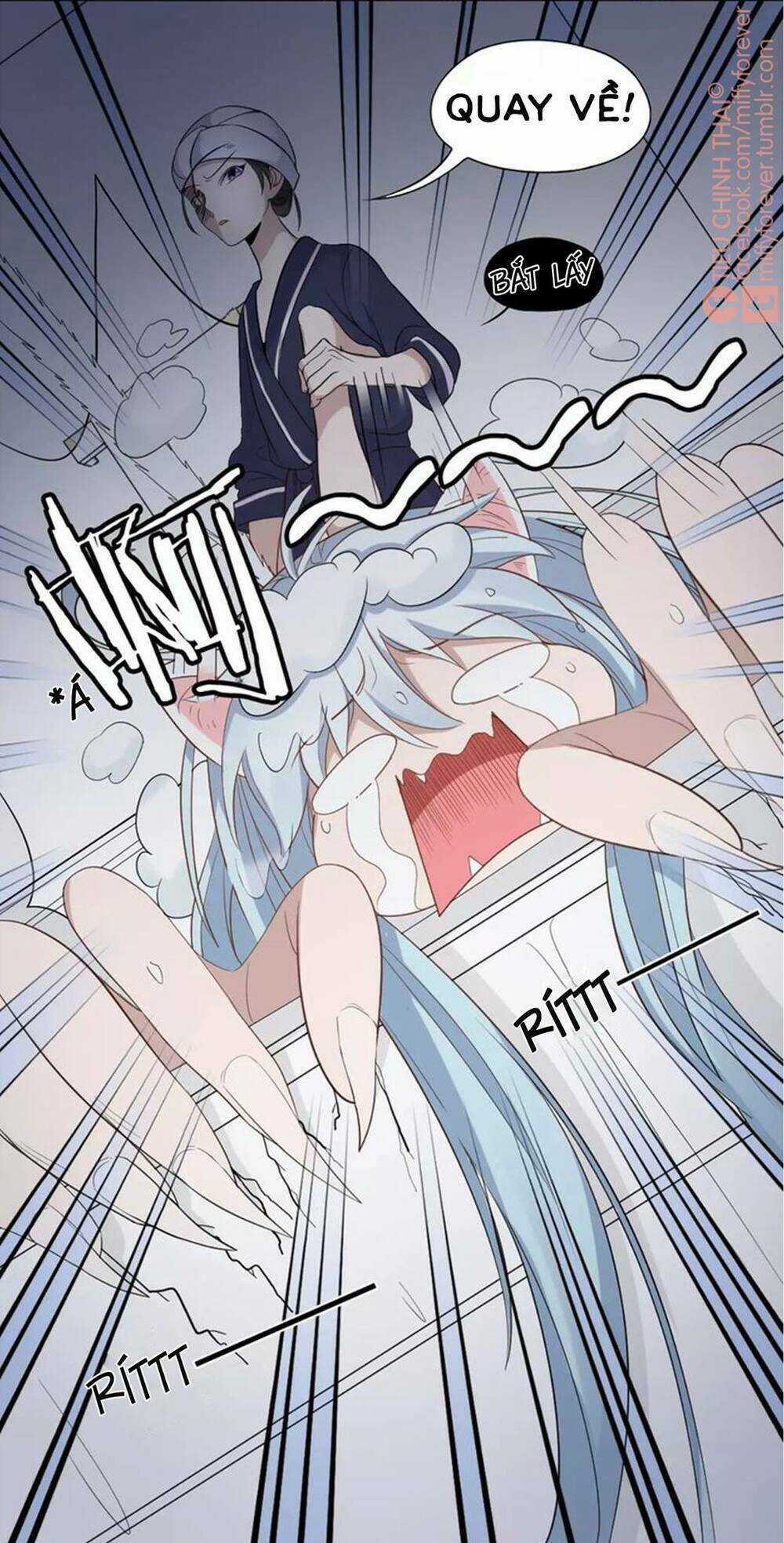 Bạn trai mèo - Chapter 7 - Trang 17