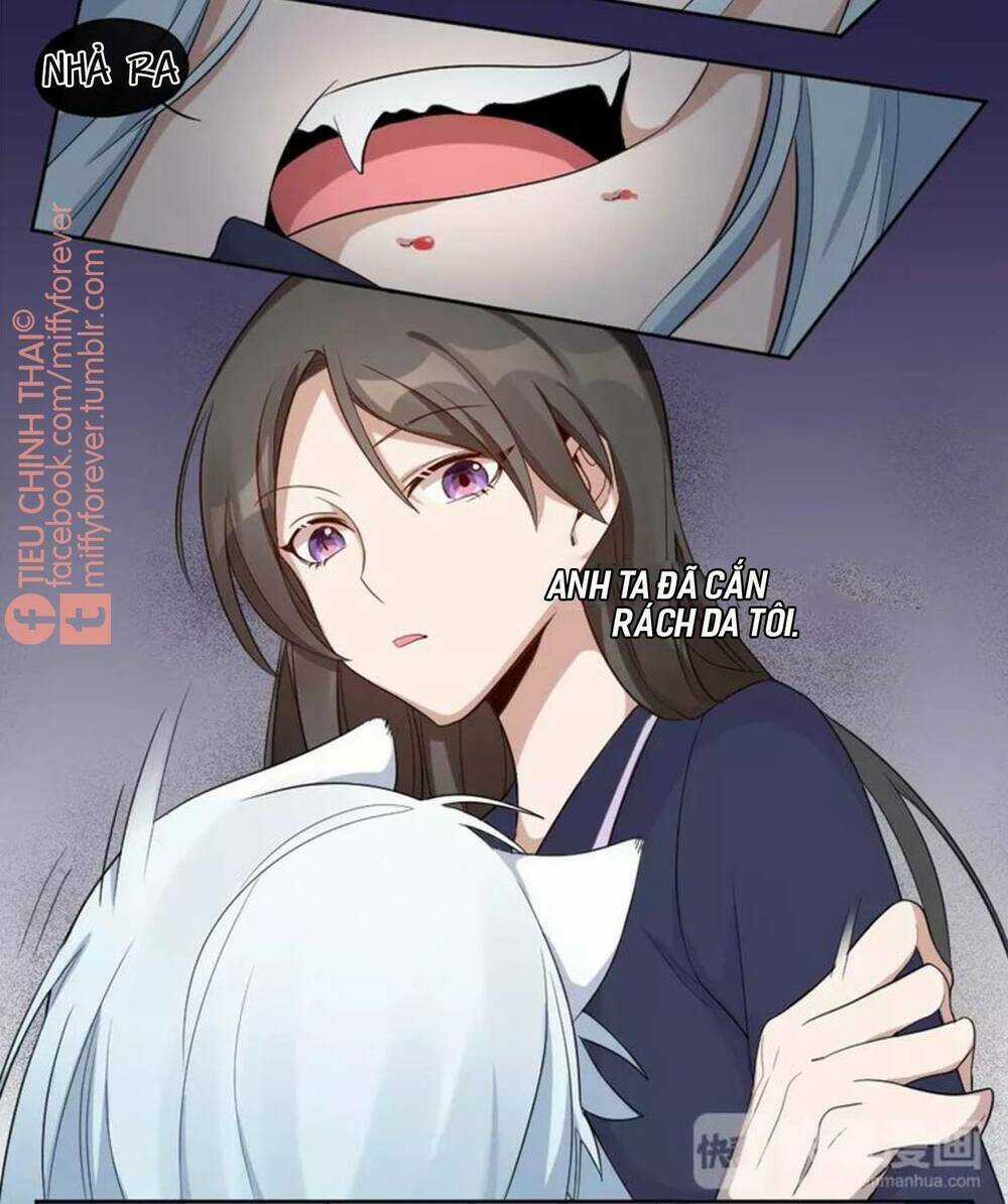 Bạn trai mèo - Chapter 7 - Trang 22