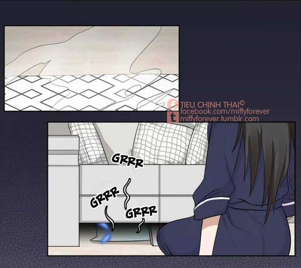 Bạn trai mèo - Chapter 7 - Trang 28