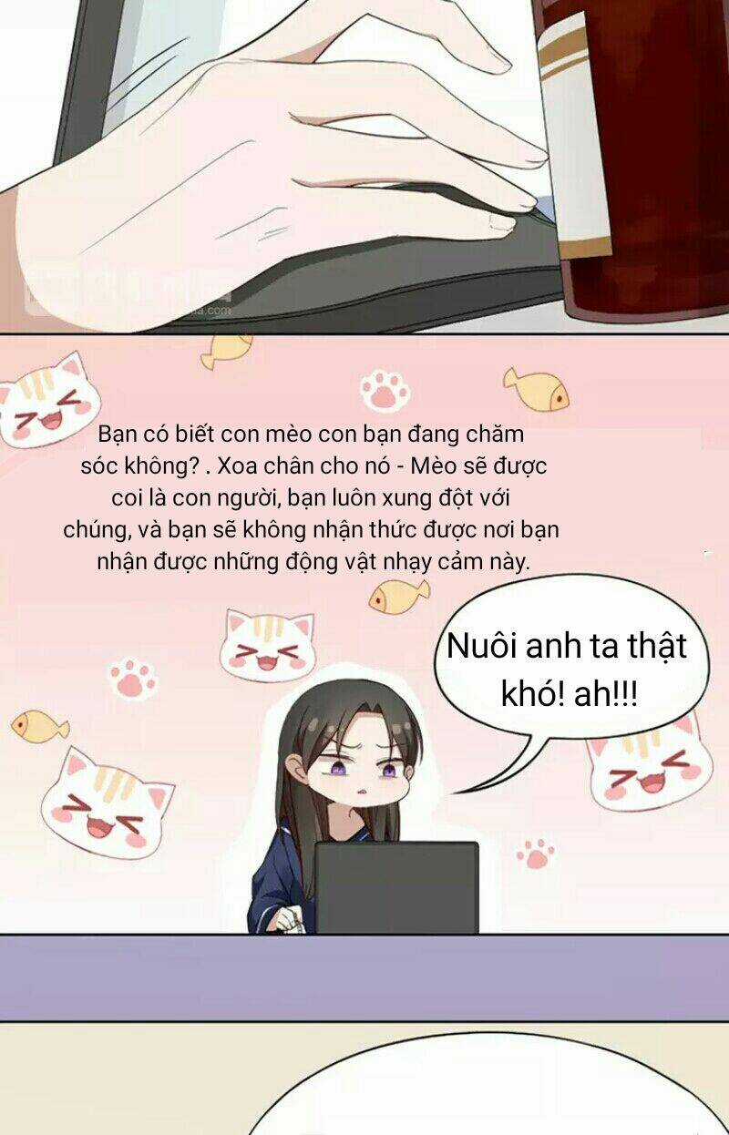 Bạn trai mèo - Chapter 8 - Trang 6