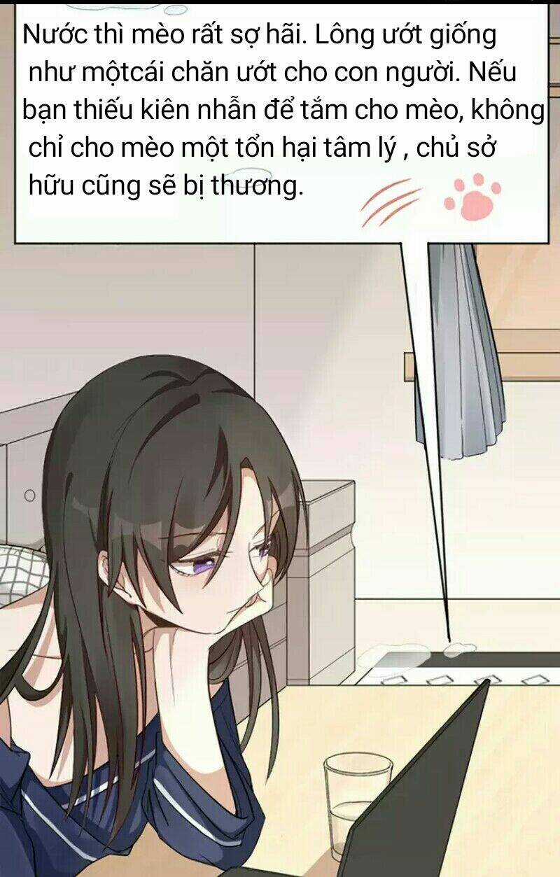 Bạn trai mèo - Chapter 8 - Trang 8
