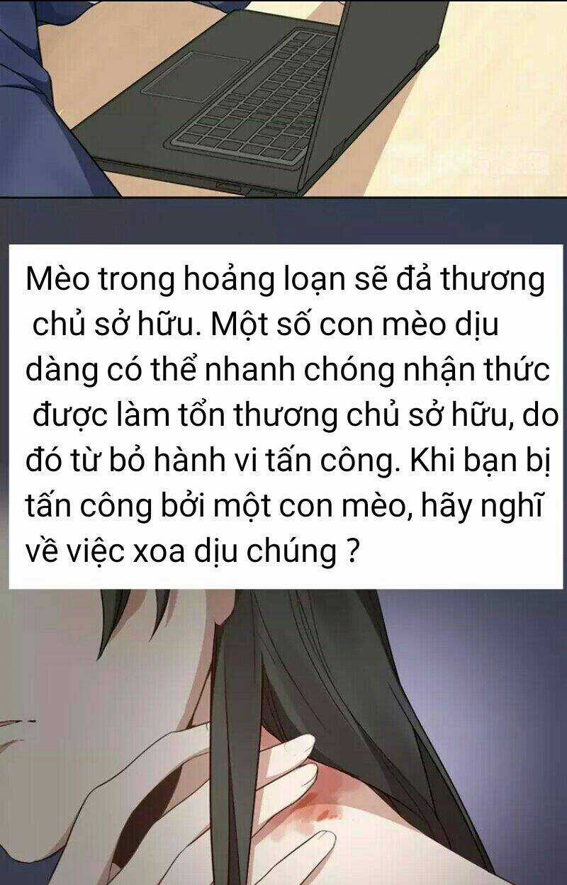 Bạn trai mèo - Chapter 8 - Trang 9