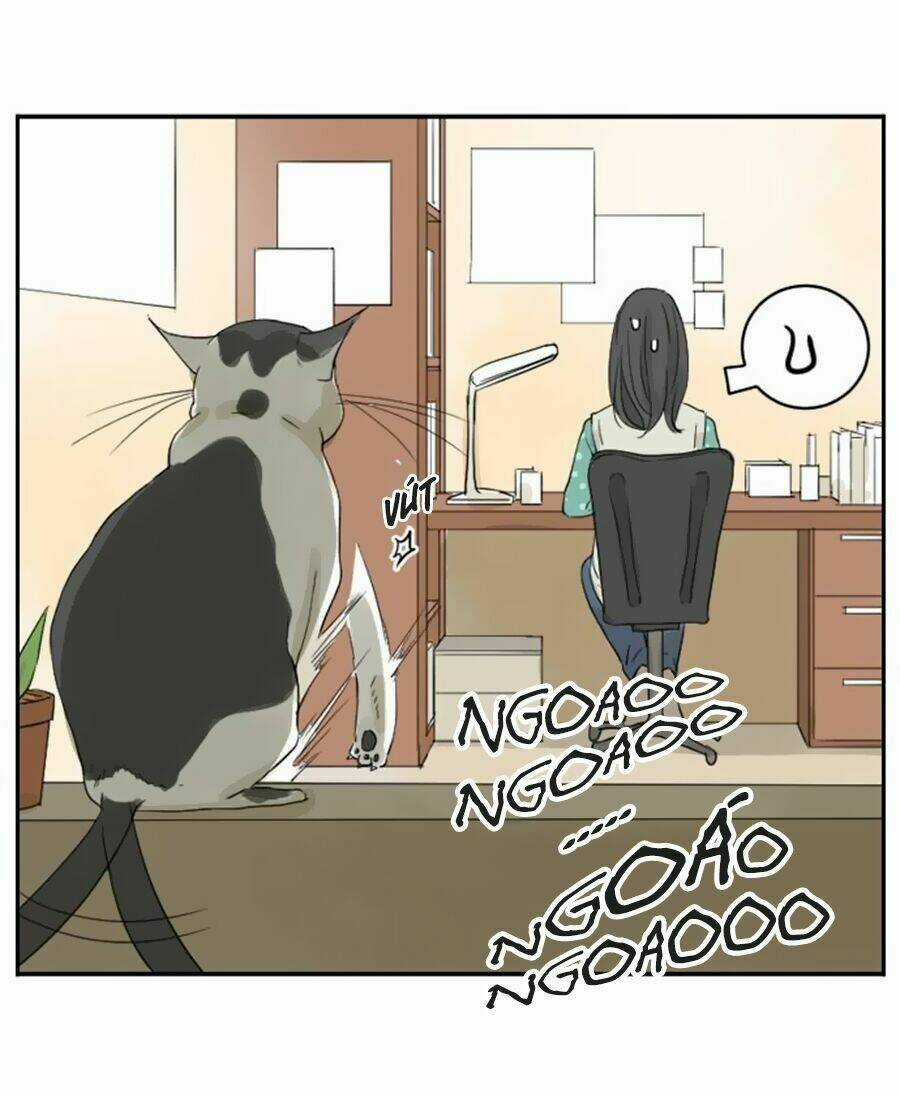 Bạn Trai Tui - Chapter 15 - Trang 10