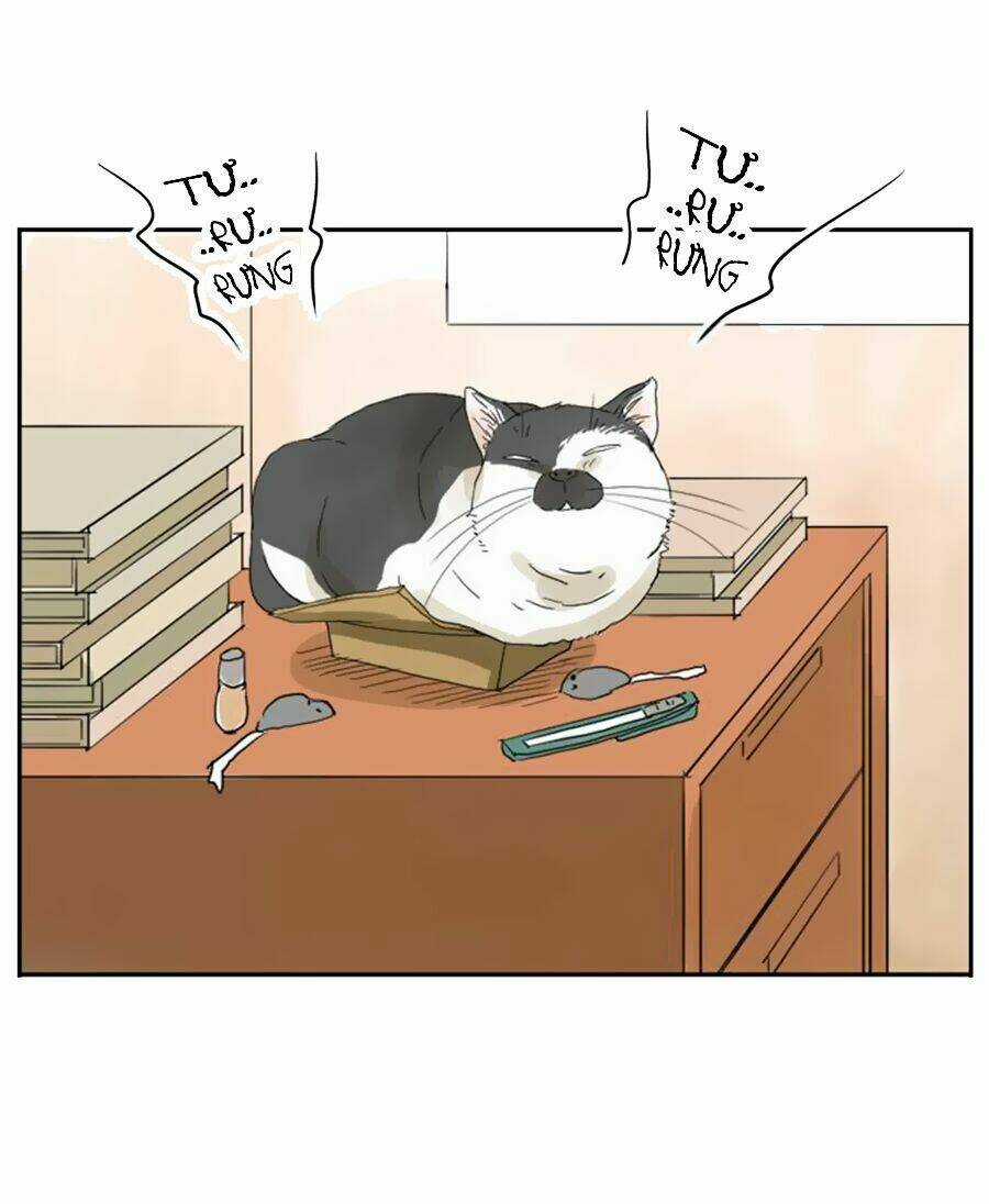 Bạn Trai Tui - Chapter 3 - Trang 22