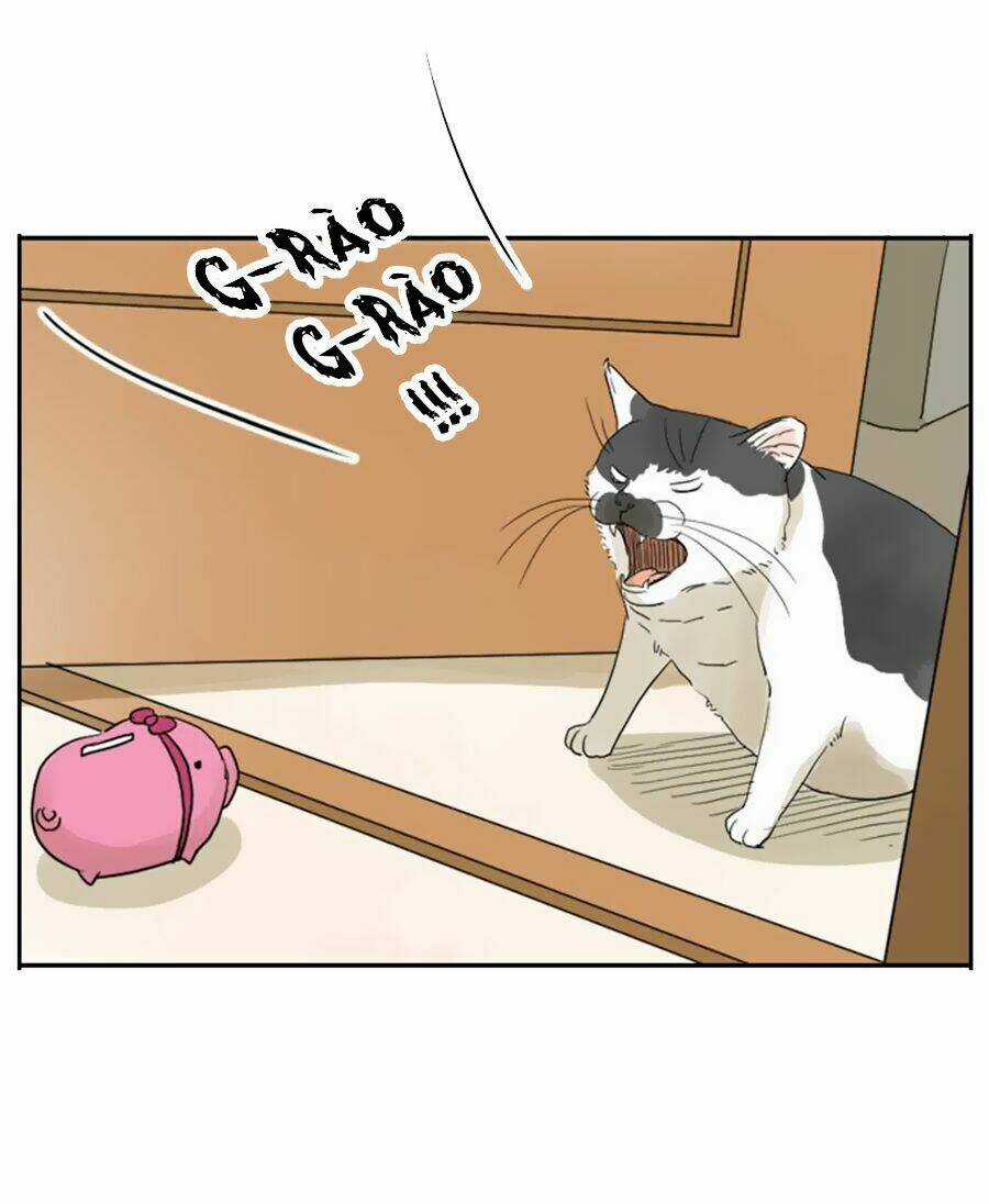 Bạn Trai Tui - Chapter 3 - Trang 24